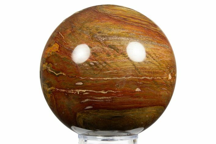 Colorful Chinchilla Petrified Wood (Conifer) Sphere - Australia #311726